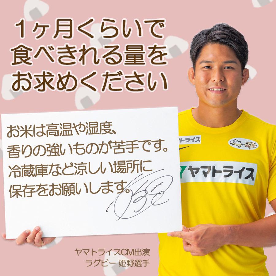 米 お米 コシヒカリ 無洗米 10kg 新潟県産 5kg×2 令和5年産