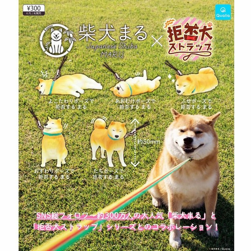 柴犬まる 拒否犬ストラップ 全5種セット コンプ コンプリート 通販 Lineポイント最大0 5 Get Lineショッピング