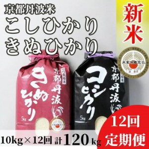 訳あり 定期便 新米 10kg （こしひかり 5kg ・ きぬひかり 5kg） ×12ヶ月 京都丹波米 白米 12回定期便 コシヒカリ・キヌヒカリ 各5kg ×12回 計120kg ※精米したてをお届け《食べ比べ 緊急支援 米・食味鑑定士 厳選 京都丹波産 特Ａ》 ※北海道・沖縄・離島への配送不可