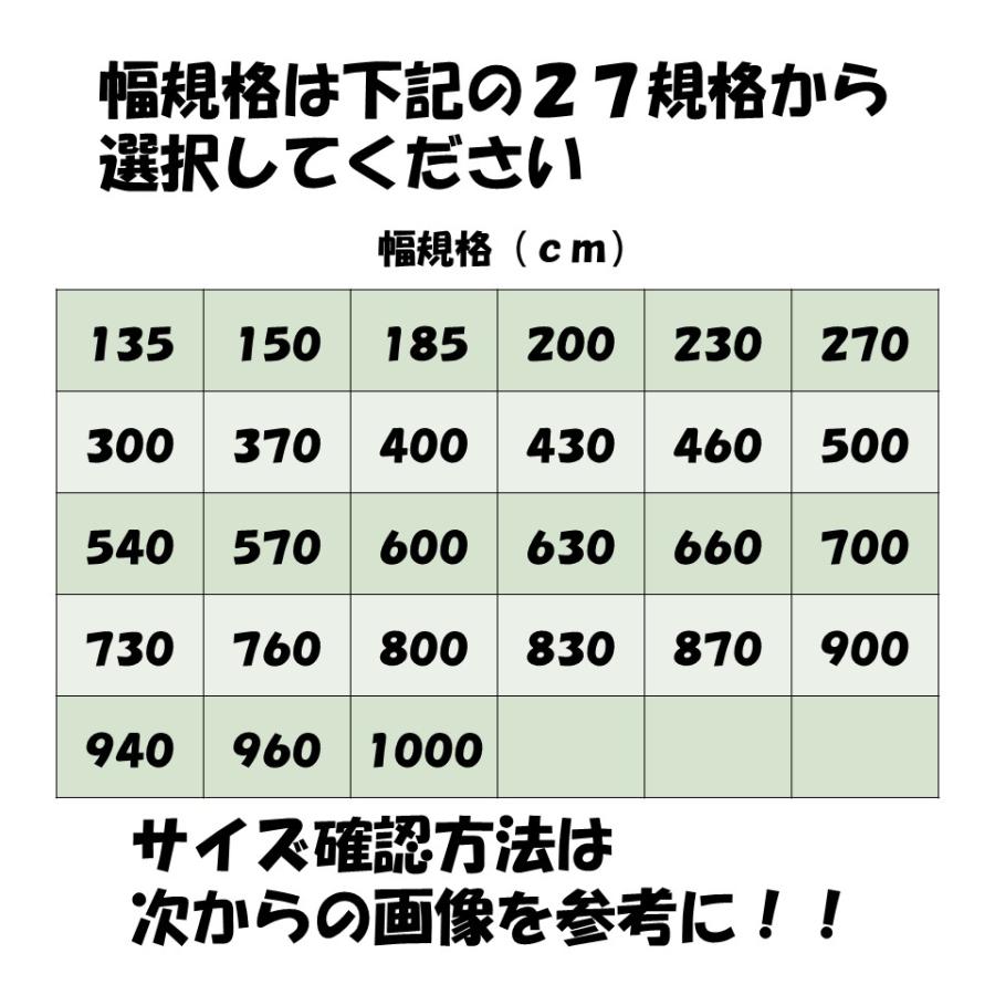 （梨地）無滴 0.10mm厚 1000cm幅 希望長さ(m)を数量に入力 農ビ 三菱 散乱光 ナシジ  農業用 ビニールハウス用 トマト イチゴ 育苗 家庭菜園