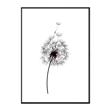 蒲公英 30 x 40cm 框 掛畫  木色