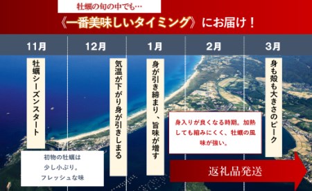 牡蠣／京都久美浜産　殻付き牡蠣３キロ 加熱用　カキ殻付き・牡蠣殻つき・焼き牡蠣・牡蠣ご飯・牡蠣フライに