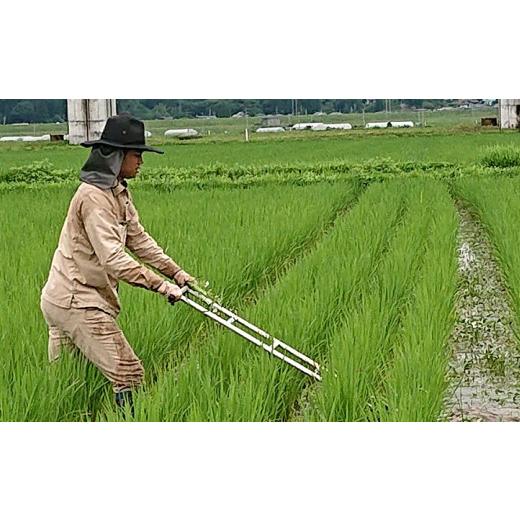 ふるさと納税 岩手県 一関市 自然栽培米 ササニシキ 5kg×2 (計10kg×12回)