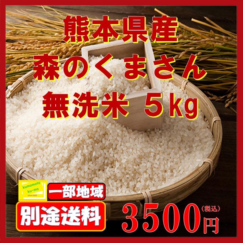 令和5年度産　森のくまさん　5ｋｇ　無洗米　白米　新米　熊本県産　熊本　米　お米