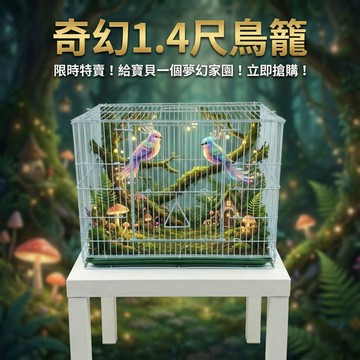 ＊Nicole寵物＊台灣鳥籠（1.4尺 1呎4 尺四）MIT密網籠 鐵籠 籠子 烤漆籠 折疊籠 摺疊籠 小鳥籠 方形鳥籠