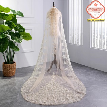 【爆款代銷】新娘頭紗 頭紗 婚紗頭紗 新娘飾品 婚禮頭紗 香檳色蕾絲亮片 亞馬遜速賣通熱銷 HL52新款 新娘造型必備