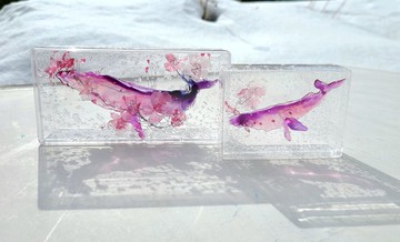 櫻花與鯨魚【訂製商品】禮物 春天 花 枝 葉 透明 美麗