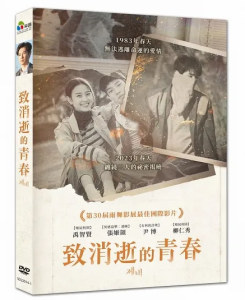 韓国映画  致消逝的青春（DVD）台湾盤　Swallow ツバメ