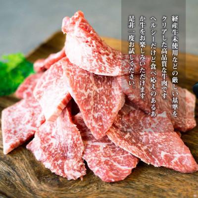 ふるさと納税 宇城市 GI認証取得　くまもとあか牛　焼き肉用切り落とし 合計600g(宇城市)