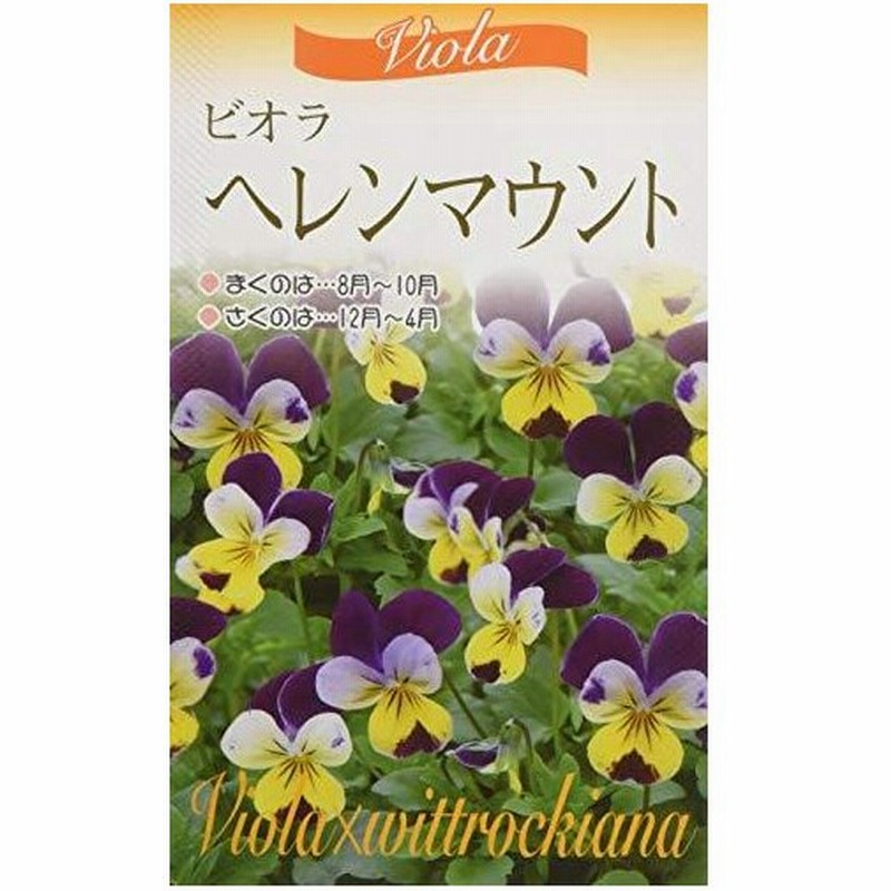 26円 即日発送 フェリシア 種 たね 1袋 100mg フェリシアの種 スプリングメルヘン 花