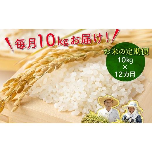 ふるさと納税 鹿児島県 南九州市 鹿児島県産米ひのひかり10kg定期便 013-07