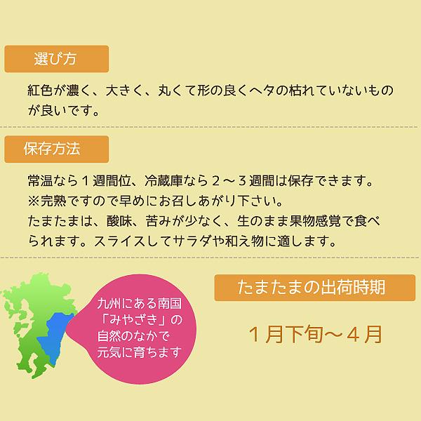 最高糖度18度 減農薬 宮崎産 完熟 きんかん 金柑 1kg Lサイズ 贈答用 産地直送