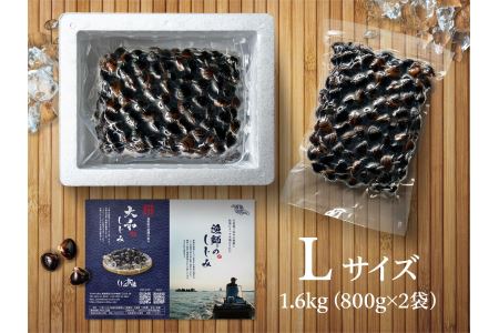 宍道湖産 冷凍大和しじみ 砂抜き済 Lサイズ 1.6kg　23010-05