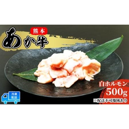 ふるさと納税 熊本 あか牛 白ホルモン 500g（250g×2パック）※配送不可：離島 熊本県錦町