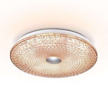 60W遙控吸頂燈 L01-47-24111E