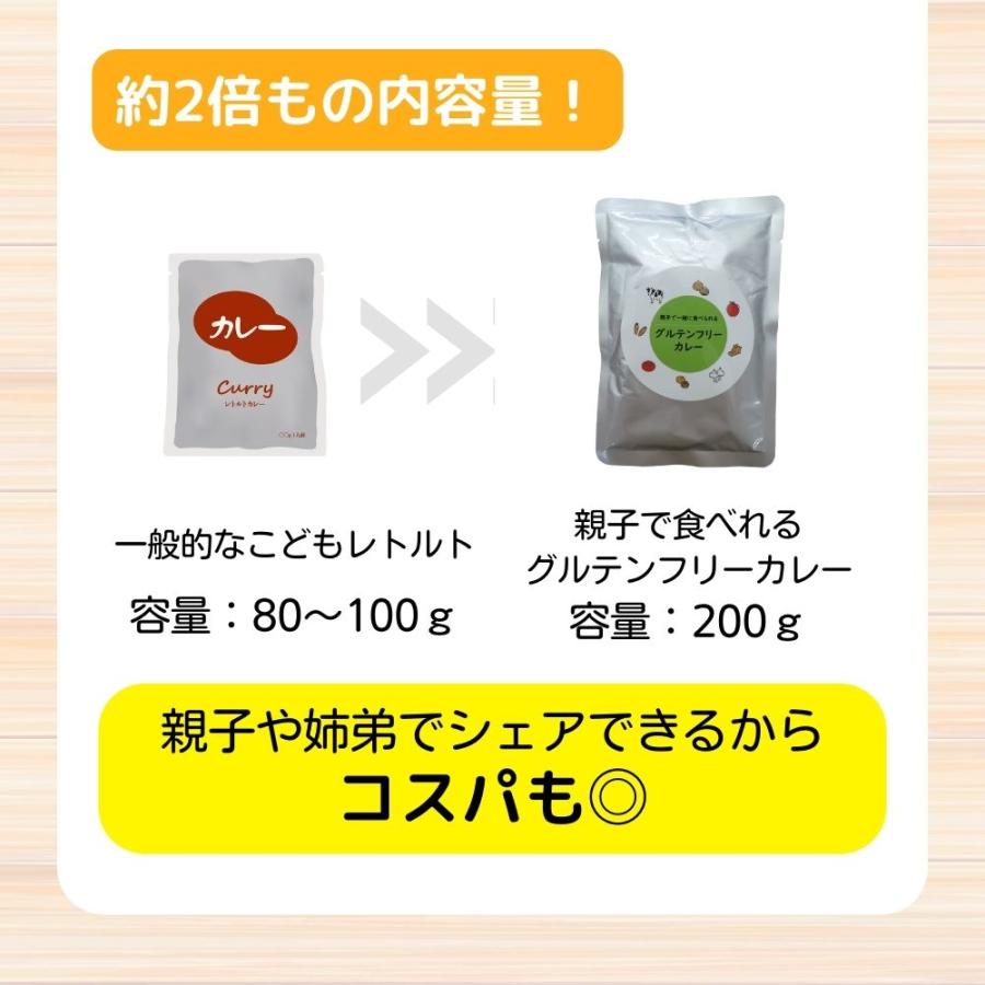 グルテンフリーカレー レトルト4袋セット｜グルテンフリー検査済｜親子で食べられる たっぷり200ｇ おいしい レトルトカレー グルテンフリー