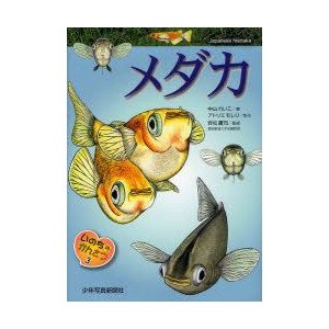 メダカ　中山れいこ 著　アトリエモレリ 制作　岩松鷹司 監修