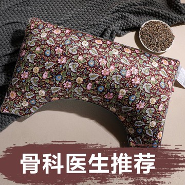 枕頭護頸椎枕助睡眠全蕎麥枕芯夏季單人男整頭單只家用雙人一對裝