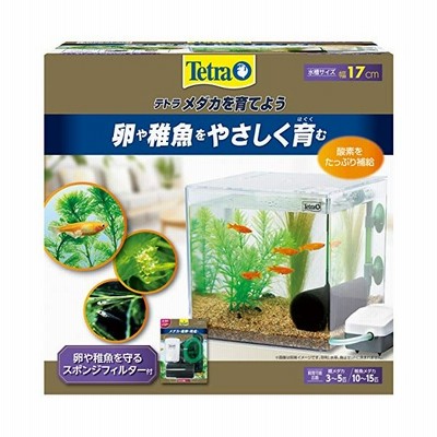 テトラ メダカを育てよう 初心者 お一人様５点限り 通販 Lineポイント最大get Lineショッピング