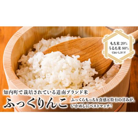 ふるさと納税 いかめし 2個入6袋 イカ もち米 北海道 ご飯 ふっくりんこ 常温 おかず 惣菜 いか 北海道知内町