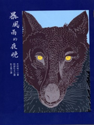 暴風雨的夜晚[二手書_良好]