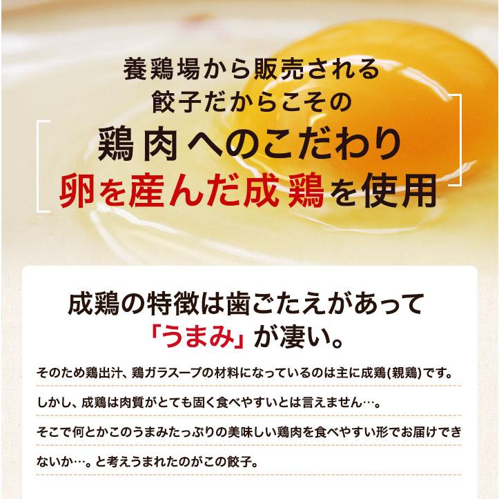 鶏餃子 ニ種を1度に食べ比べ！ 名古屋コーチン餃子  しそ餃子 餃子 しそ 冷凍餃子 生餃子 国産 鶏肉 送料無料