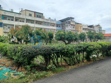 中芸國中旁方正便宜建地｜高雄市林園區鳳芸段