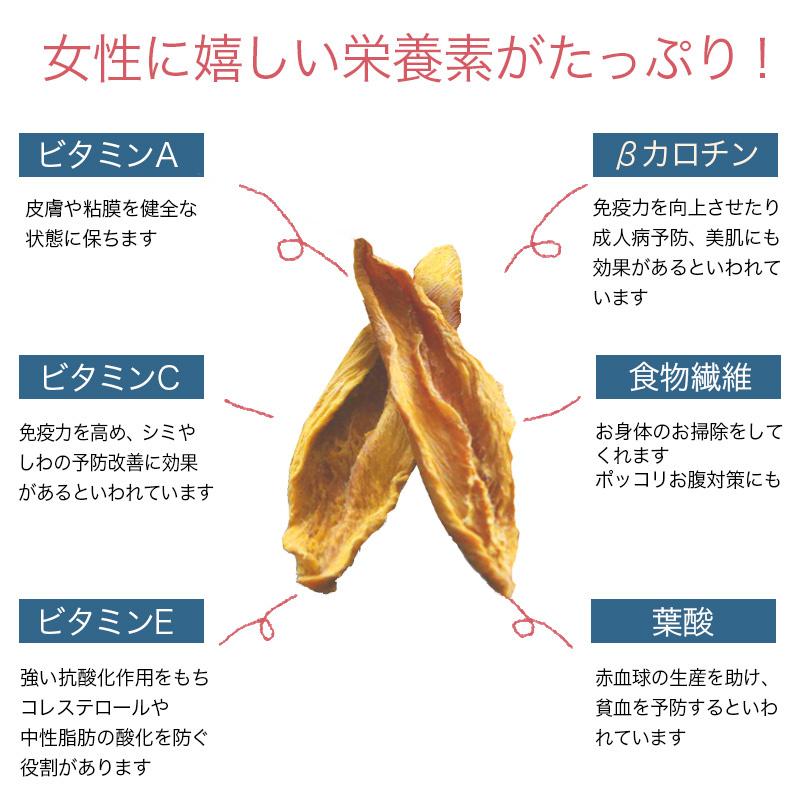 ドライフルーツ マンゴー ドライマンゴー タイ産 砂糖不使用 無添加 200g マンゴー の優しい甘み＆風味