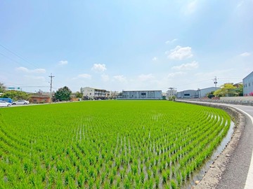 專任委託低總價彰化芳苑【新厝路】旁方正農地｜彰化縣芳苑鄉芳榮段