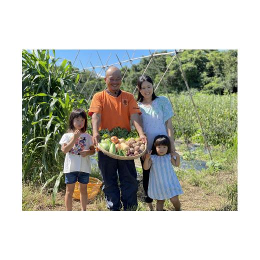 ふるさと納税 長崎県 雲仙市 季節の旬野菜セット 6〜10品種 詰め合わせ 産地直送   雲仙つむら農園   長崎県雲仙市