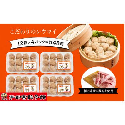 ふるさと納税 宇都宮市 「宇都宮餃子館」の12個入り×4パック(計48個)