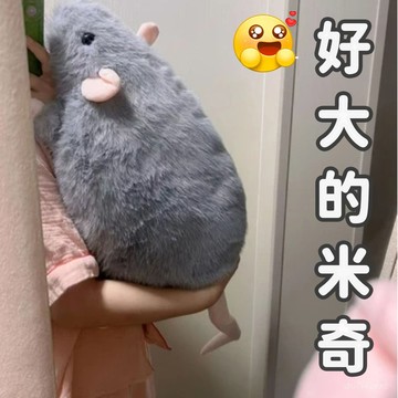 台灣出貨 小紅書同款 超大隻花枝鼠 毛絨玩具 鼠公仔 仿真老鼠 老鼠玩偶 生日禮物 交換禮 花枝鼠 鼠抱枕