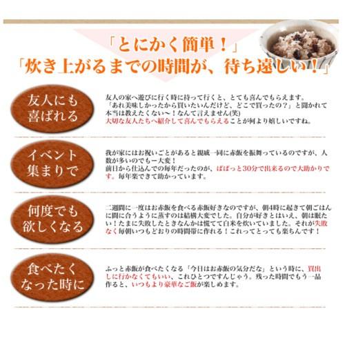 パックご飯 そのまんま 炊き込みおこわ 赤飯2合 630g 袋 10個 10個 × ケース