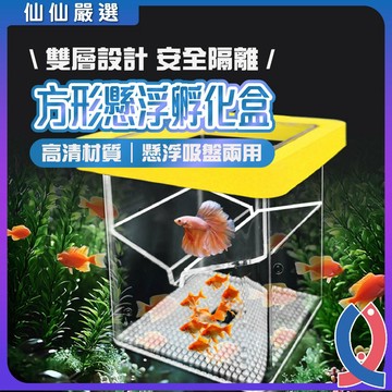 (仙仙嚴選) 方形漂浮隔離盒 繁殖盒 隔離盒 繁殖箱 產子盒 孵化箱 產卵盒 孔雀魚 仔魚 幼魚 小魚產房 仔魚