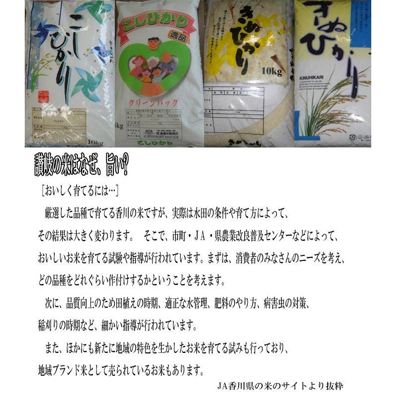 令和4年度産 新米 香川県産 こしひかり 玄米 10kg お歳暮 ギフト 食品 プレゼント 女性 男性 お祝い 新生活