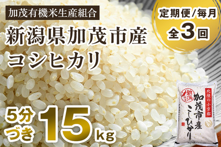 新潟県加茂市産 特別栽培米コシヒカリ 精米15kg（5kg×3） 従来品種コシヒカリ 加茂有機米生産組合 定期便 定期購入 定期 コシヒカリ 新潟県産コシヒカリ 米 お米