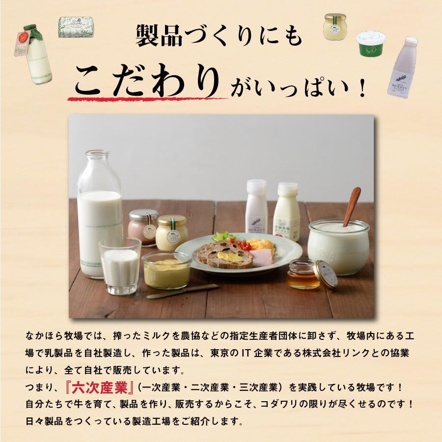 お歳暮 ギフト グラスフェッドバター 発酵＆ノーマル 国産 100g 食べ比べ バターコーヒー グラスフェッド 放牧 ［冷蔵便 冷凍同梱可］nov