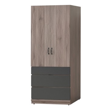 【綠活居】岡祖爾  時尚2.7尺二門三抽衣櫃/收納櫃-80x57x196xzcm免組