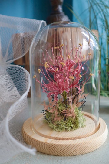 寂柔彼岸 玻璃罩