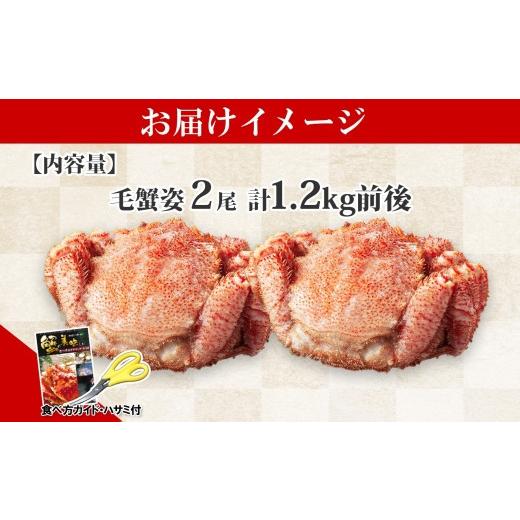 ふるさと納税 北海道 弟子屈町 1217.毛蟹 2尾 計1.2kg前後 食べ方ガイド・専用ハサミ付 カニ かに 蟹 海鮮 ボイル 送料無料 北海道 弟子屈町