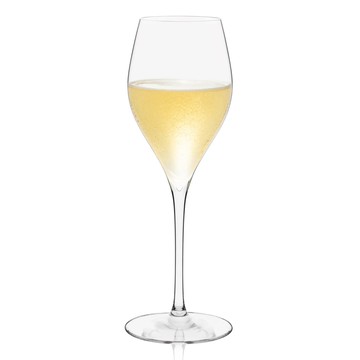 RONA洛娜 Universal香檳杯290ml