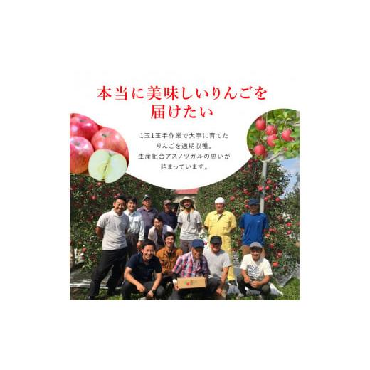 ふるさと納税 青森県 弘前市 （13度糖度保証）贈答用王林約5kg