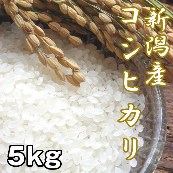 新潟産コシヒカリ5kg (お米,こしひかり,新米,お取り寄せブランド米,人気日本一,米処,新潟県産,受注後精米)