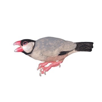 【Palnart Poc 官方正品】PB167 怒怒文鳥胸針｜日本製 霧面質感與莎士比亞名言 Java