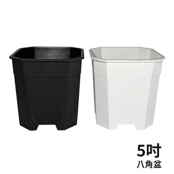 5吋八角花盆 塑膠花盆 桌上型花盆 DIY花盆-3入組