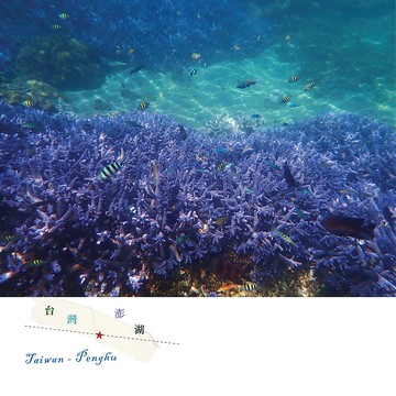 台灣攝影明信片