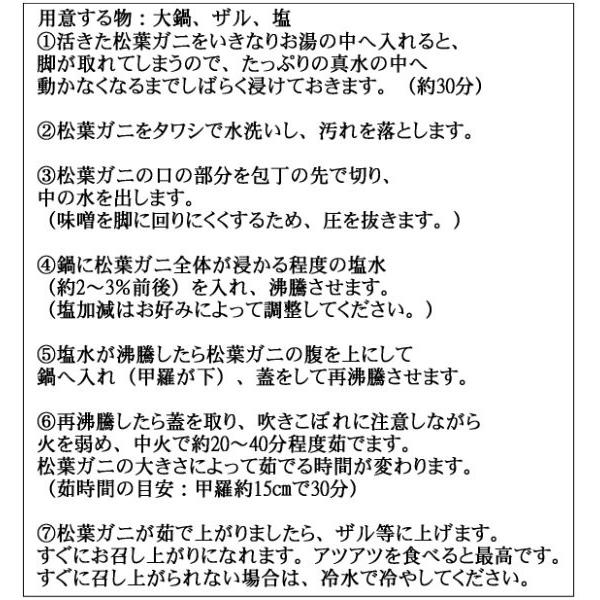 (予約販売11月下旬発送)活松葉蟹1杯800g前後(足折れ1、2本ナシ)　かに　カニ　すわい　ズワイ　松葉ガニ