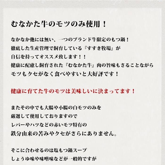 むなかた牛 塩 もつ鍋 セット 人前×2袋入り 生産者直送　送料無料 ギフト 贈答品 お歳暮 すすき牧場