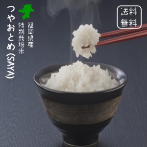 福岡県産 つやおとめ(SAYA) 2合(300g)×３袋 小分けパック 令和２年 特別栽培米 