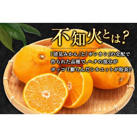 ふるさと納税 数量限定 不知火 (化粧箱入り)計3kg以上(1箱) フルーツ 果物 柑橘 みかん 黒箱 国産 食品 デザート くだもの 果実 蜜柑 送料無料_B.. 宮崎県日南市